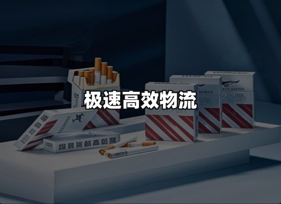 专业优势